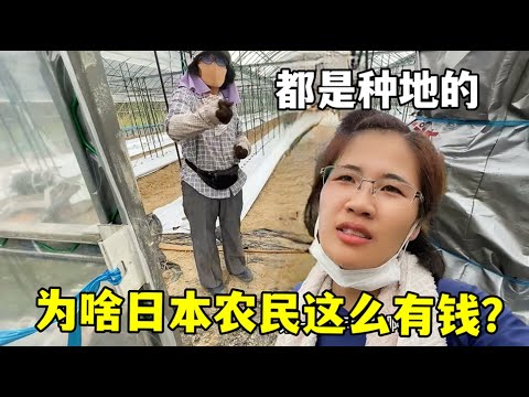 大乐透期号,专家推荐质,合分析,广州赛马会,广州赛马,赛马活动,马术赛事