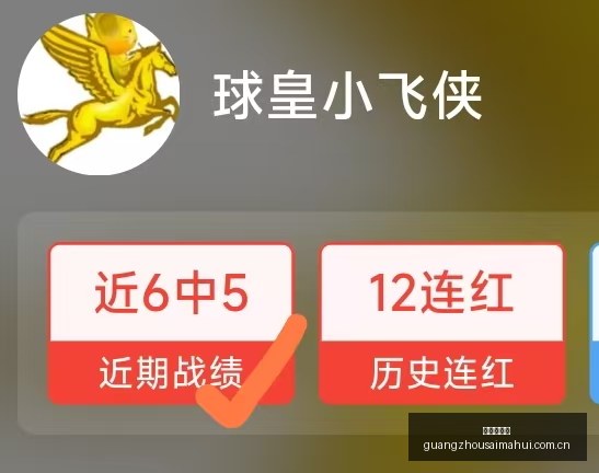 广州赛马会,广州赛马,赛马活动,广州赛马会,广州赛马,赛马活动,马术赛事